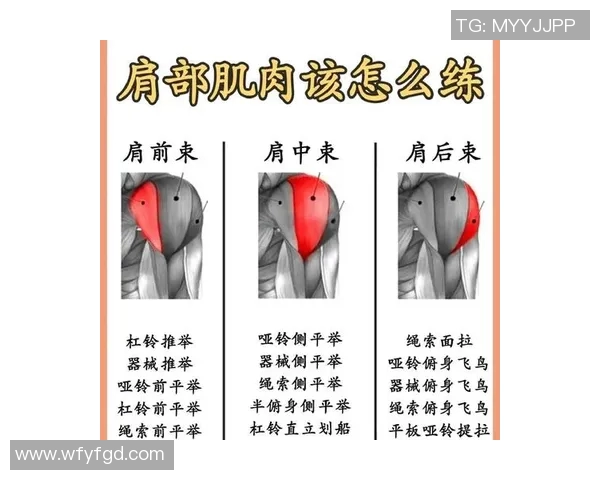 提升肩部力量的女生哑铃练肩动作全攻略让你轻松塑造完美肩型